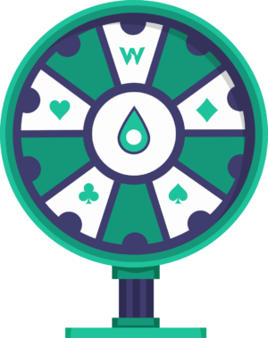 An Introduction to Spin & Gos